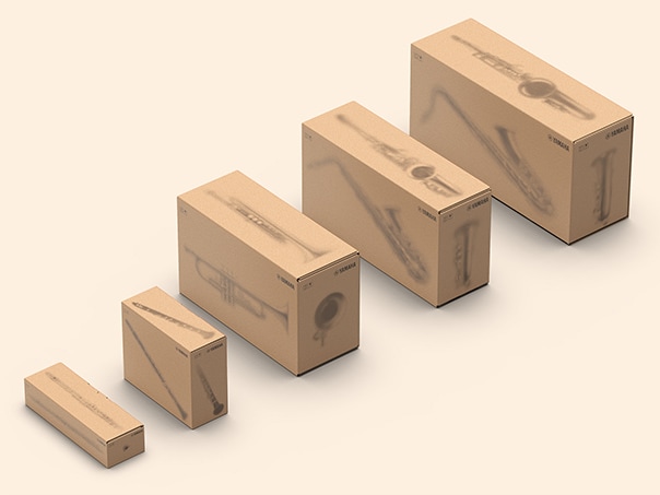 Packaging boxes for entry-level wind instrument models earned the Gold Award at Pentawards 2025 (Illustrative)
