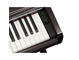 YDP-146_Palo de rosa oscuro_teclado_derecha
