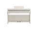 YDP-166_Abedul blanco_frente