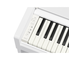 YDP-S36_Blanco_teclado_izquierda