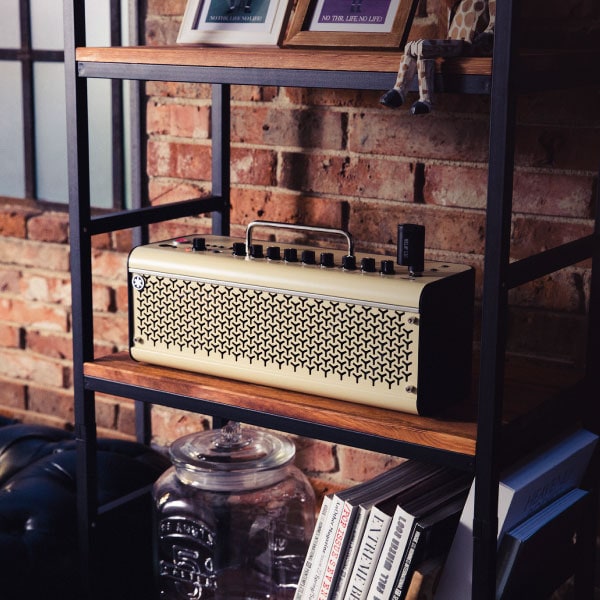 THR30II Wireless + Line6 G10T