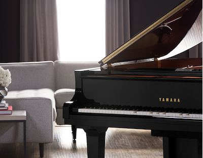 Technologically Discreet, Acoustically Elegant image