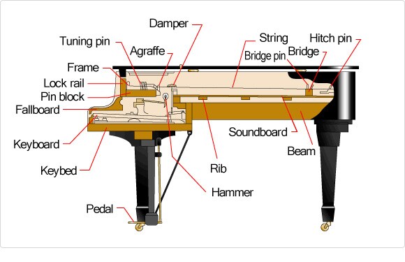 Schematic Rendering of a Grand Piano