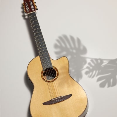 NX - cuerdas de nylon